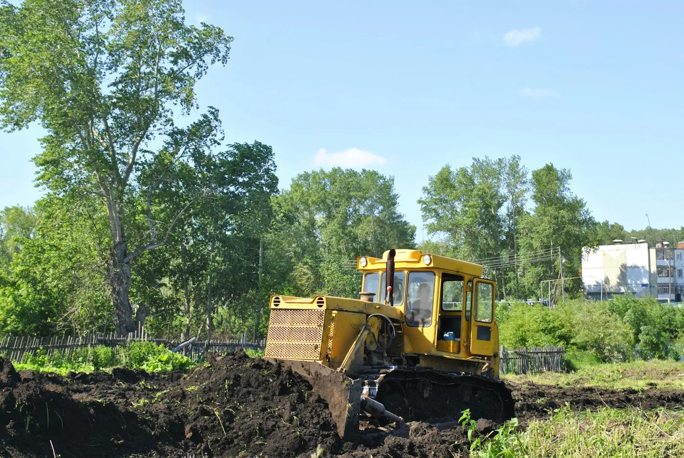 Bulldozer working beside vegetation